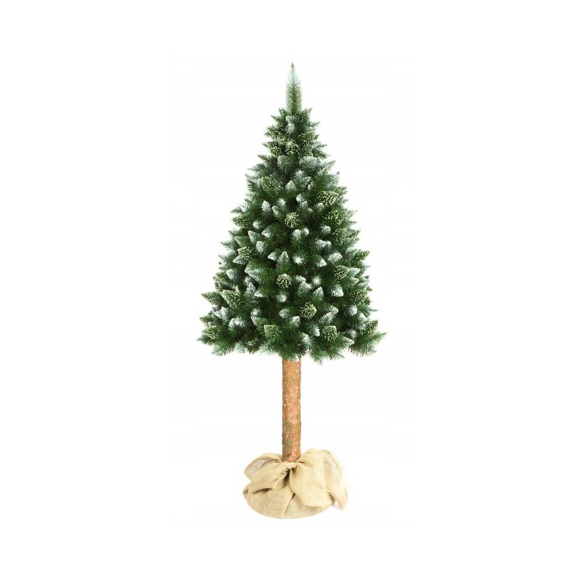 Choinka na pniu Sosna Diamentowa (biała)