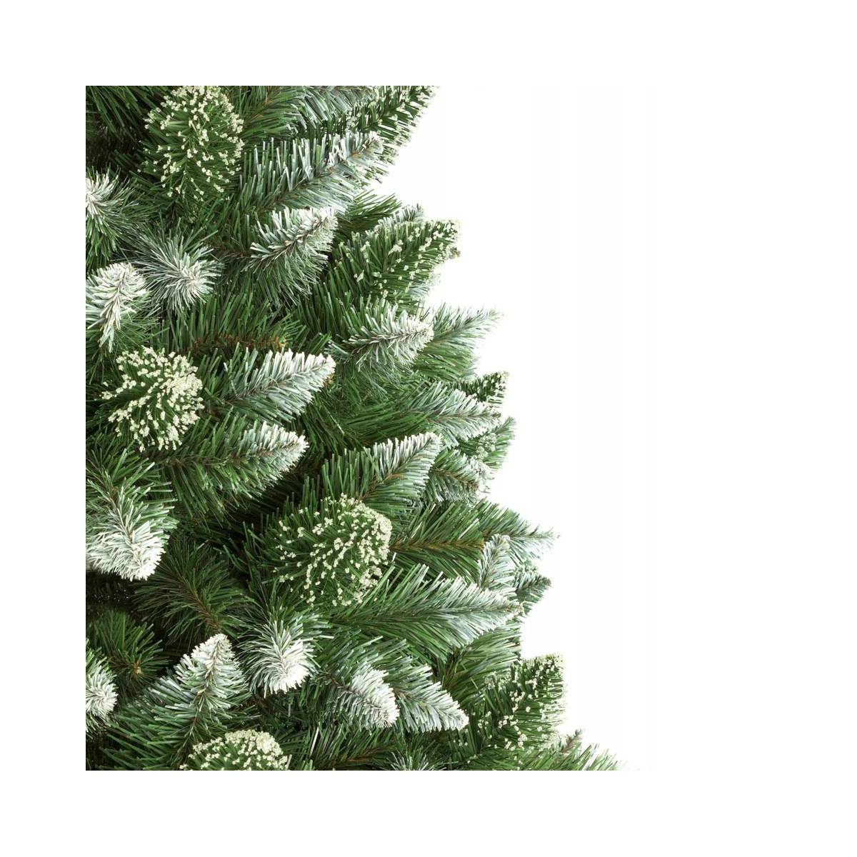 Choinka na pniu Sosna Diamentowa (biała)