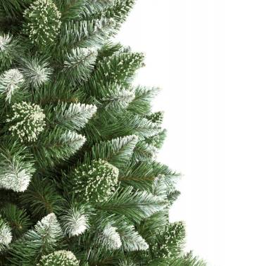 Choinka na pniu Sosna Diamentowa (biała)