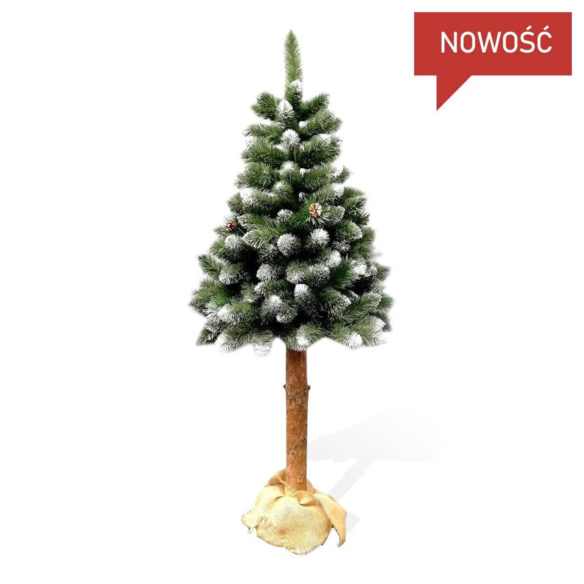 choinka na pniu choinka na pniu