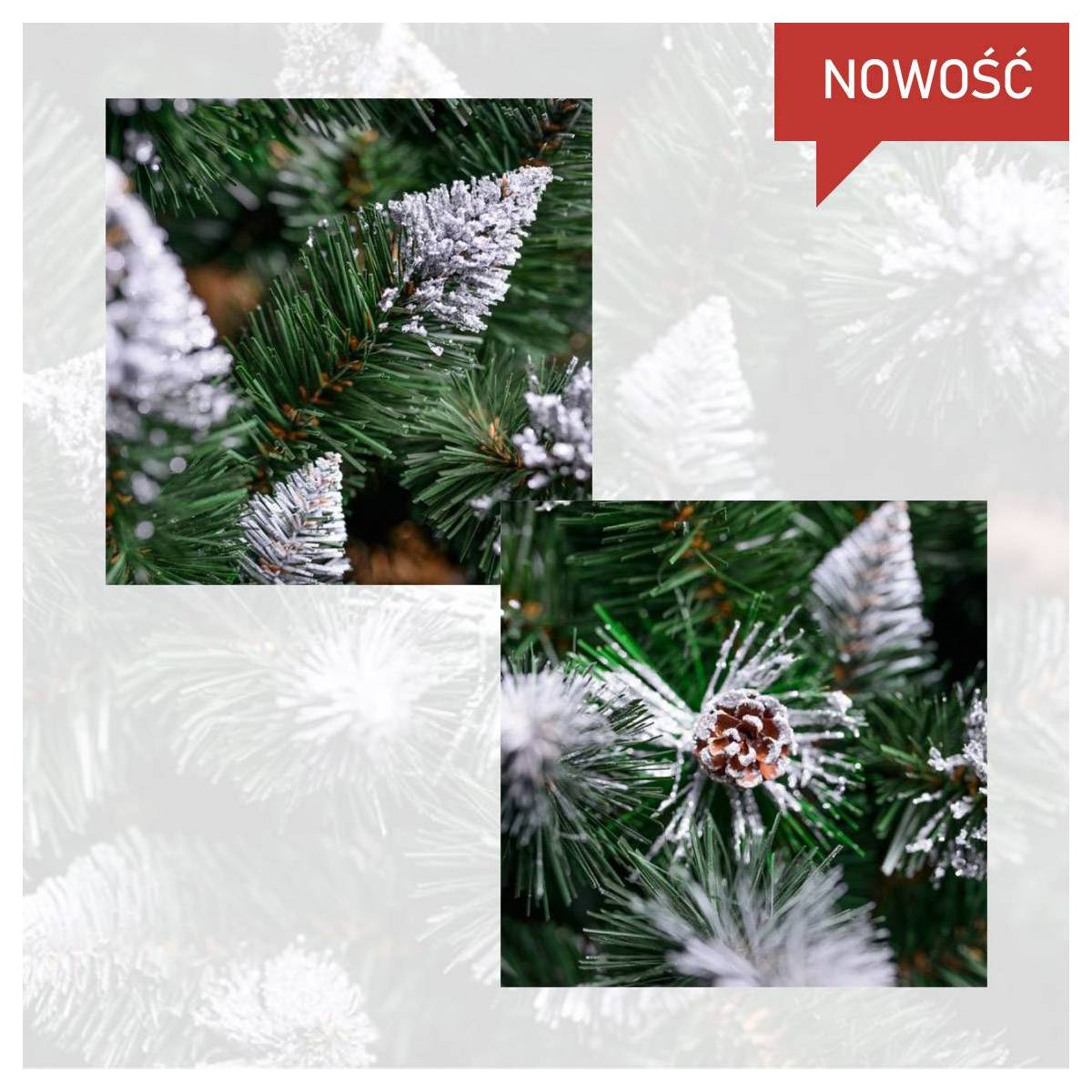 choinka na pniu choinka na pniu