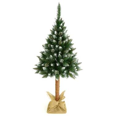 Choinka na pniu Sosna Diamentowa (biała)