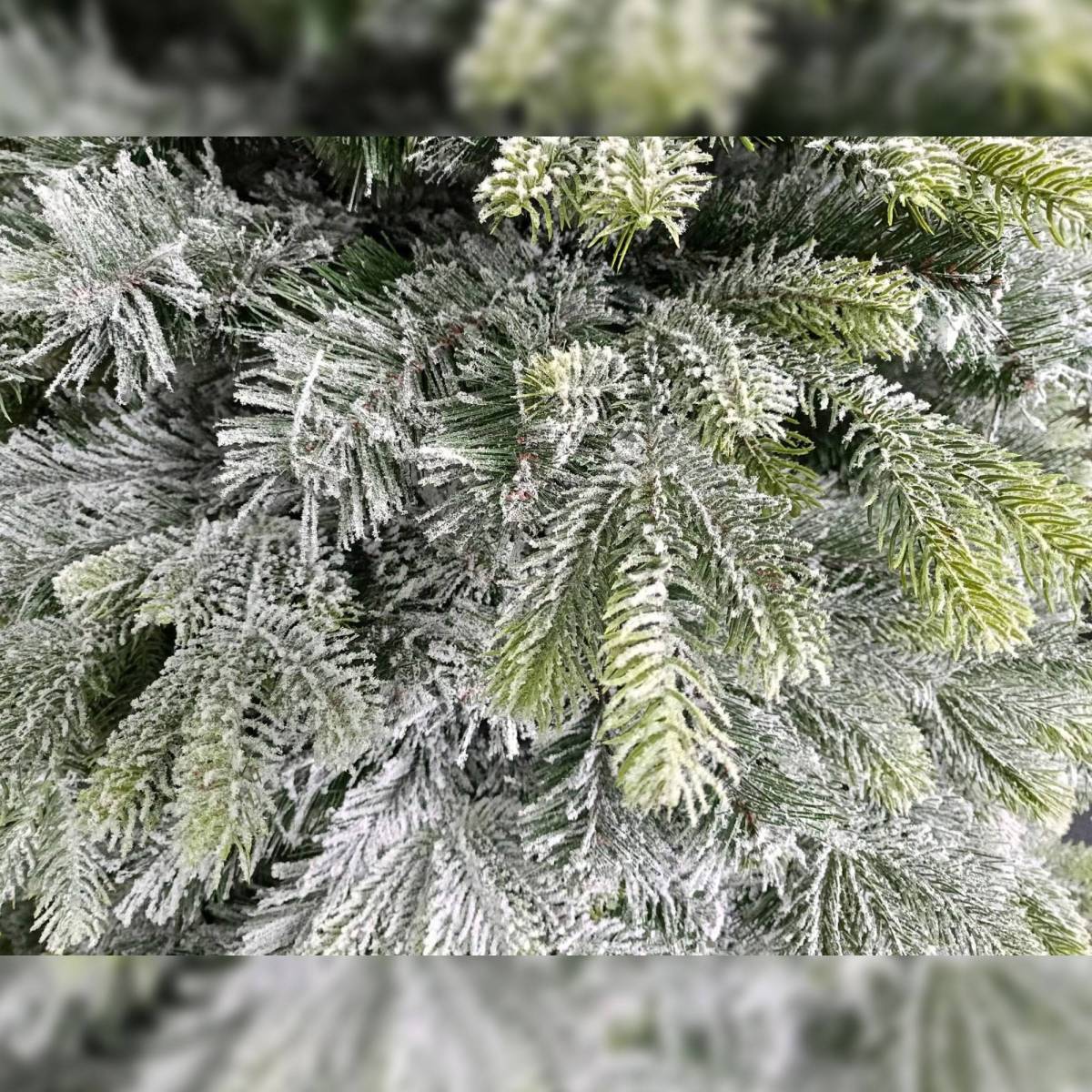 Sosna Szroniona PE - Choinka z ośnieżonymi gałązkami