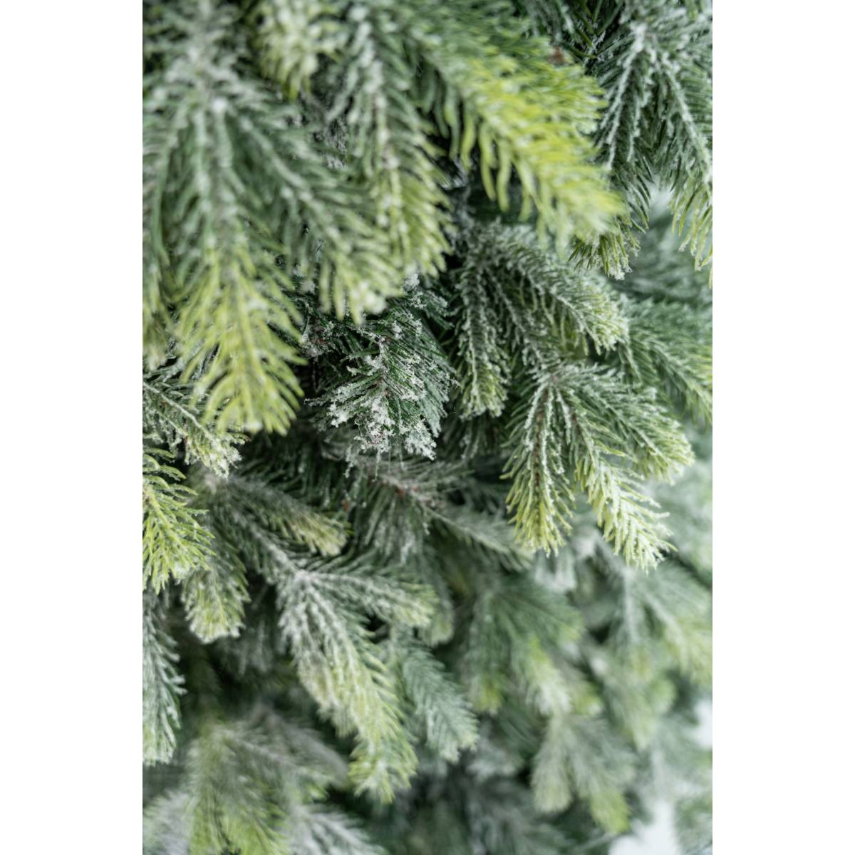 Sosna Szroniona PE - Choinka z ośnieżonymi gałązkami