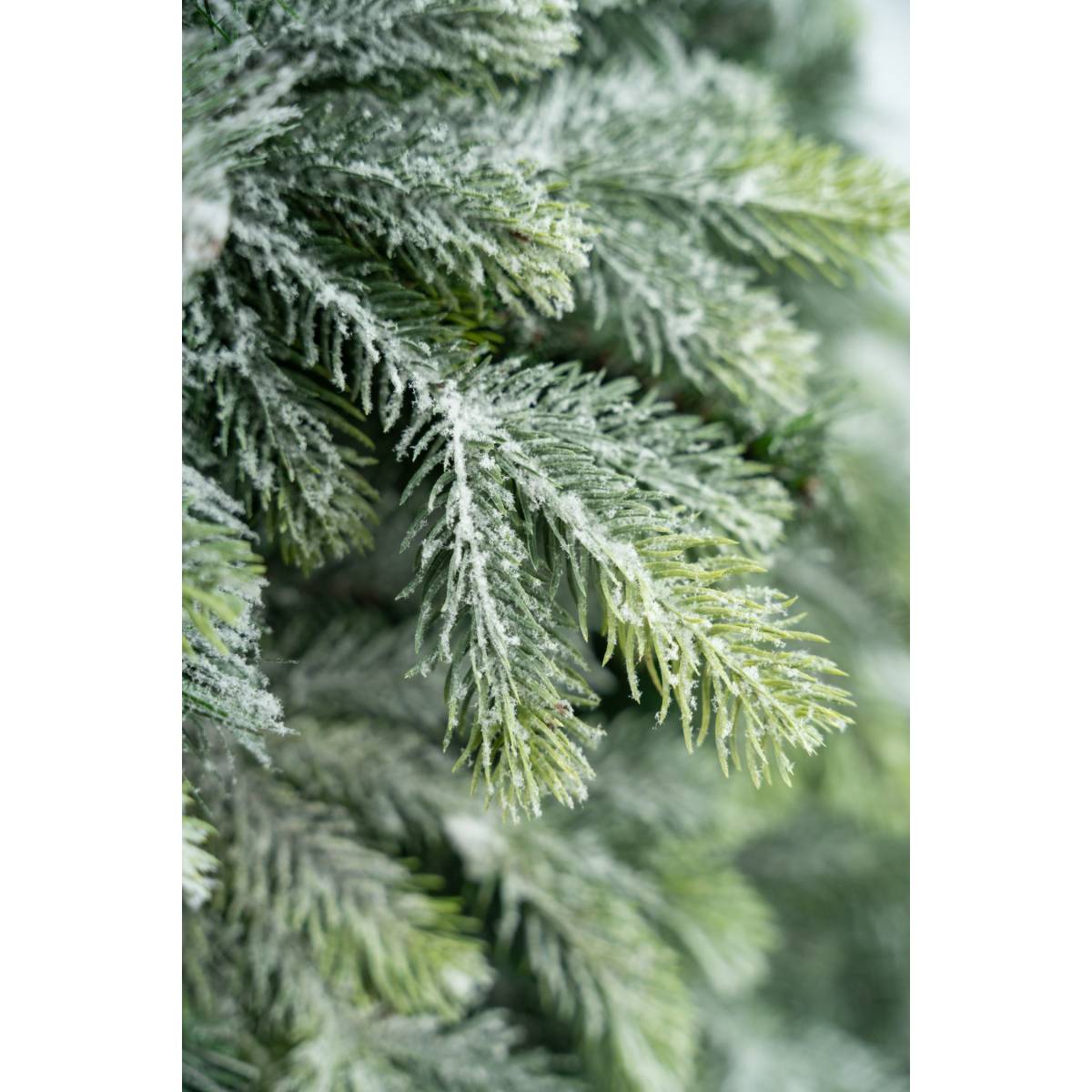 Sosna Szroniona PE - Choinka z ośnieżonymi gałązkami